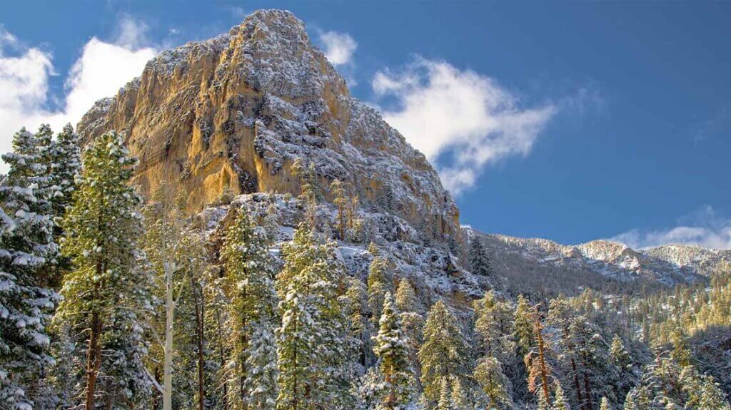mount charleston spring mountains national recreation area nevada