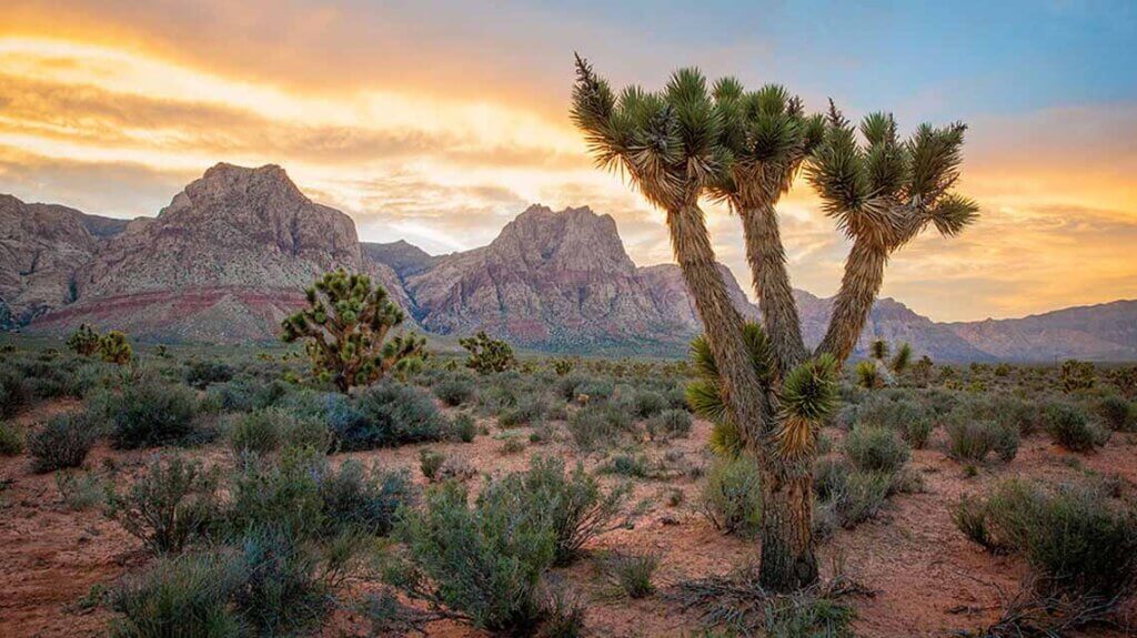 sunset at spring mountain ranch state park