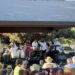 Band at Lazy 5 Summer Music Series
